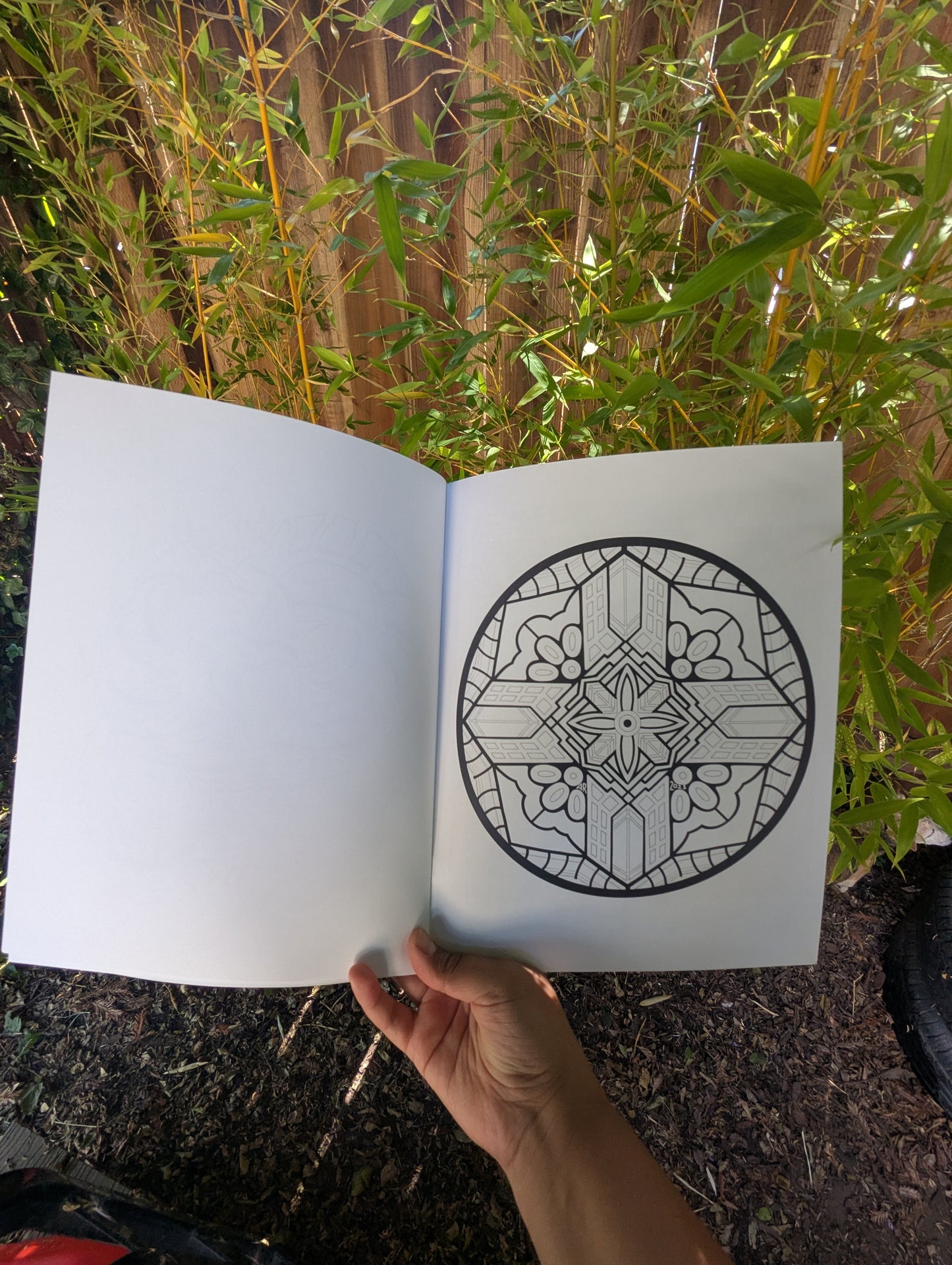 1st Edition Coloring Book