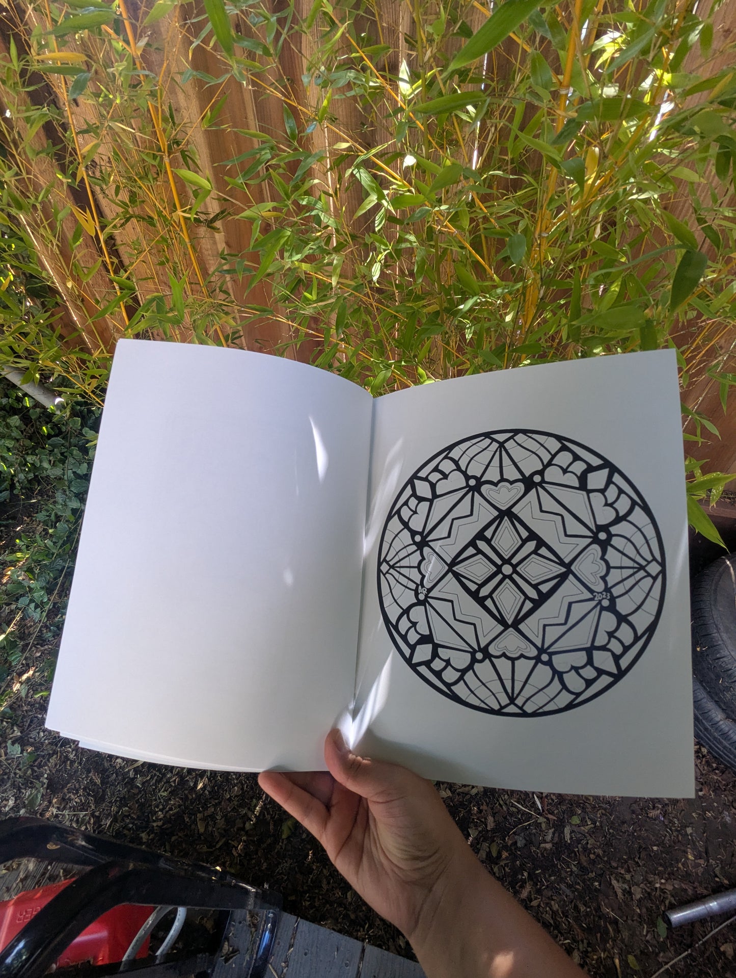 1st Edition Coloring Book