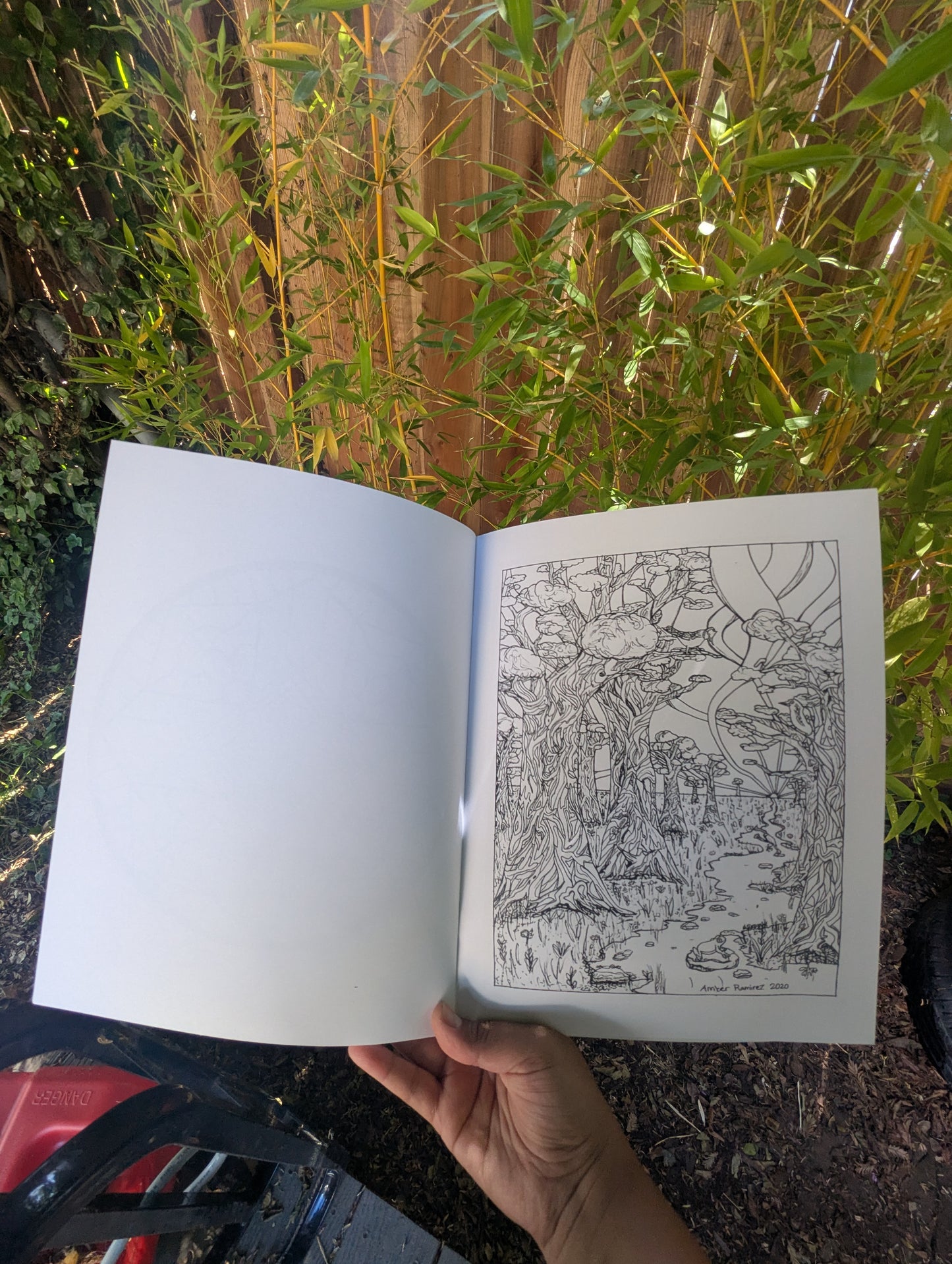 1st Edition Coloring Book