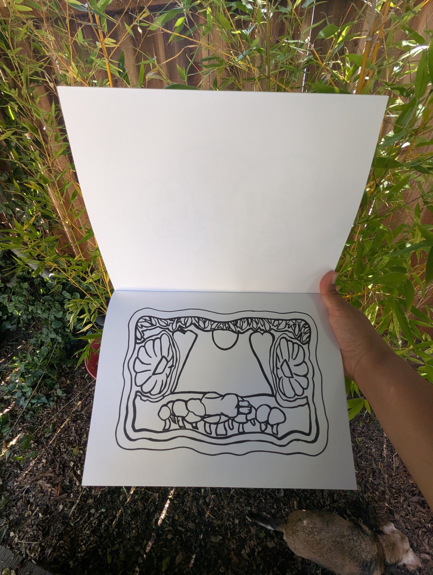 1st Edition Coloring Book